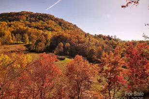 235 Timucua Trail, Waynesville, NC 28786 - Photo 9