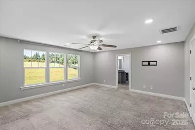 4243 Island Fox Lane, Denver, NC 28037 - Photo 19