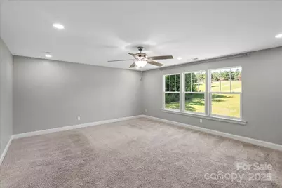 4243 Island Fox Lane, Denver, NC 28037 - Photo 17