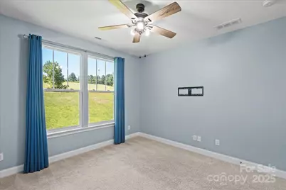 4243 Island Fox Lane, Denver, NC 28037 - Photo 31