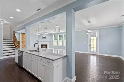 4243 Island Fox Lane, Denver, NC 28037 - Photo 3