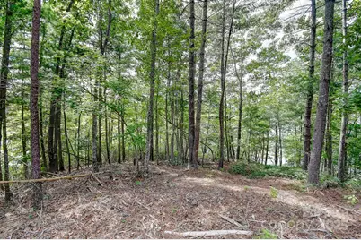 131 West Point Drive, Nebo, NC 28761 - Photo 27
