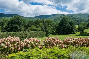 208 Parrish Farm Rd, Waynesville, NC 28786 - Photo 43