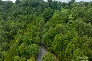 1614 Old North Rd, Lenoir, NC 28645 - Photo 11