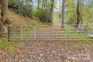 0000 Cattail Creek Rd, Burnsville, NC 28714 - Photo 7