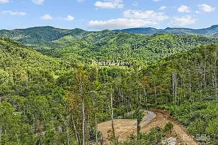 0000 Cattail Creek Rd, Burnsville, NC 28714 - Photo 19