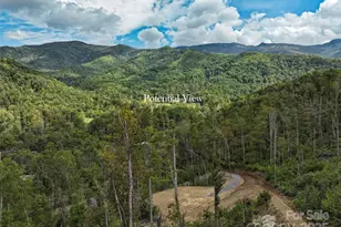 0000 Cattail Creek Rd, Burnsville, NC 28714 - Photo 11