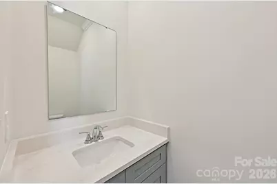 254 Tiger Lily Drive, Fort Mill, SC 29708 - Photo 9