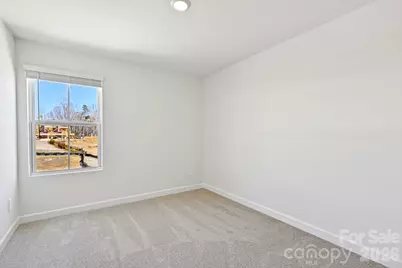 254 Tiger Lily Drive, Fort Mill, SC 29708 - Photo 11