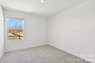 254 Tiger Lily Dr, Fort Mill, SC 29708 - Photo 11