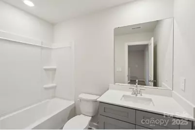 254 Tiger Lily Drive, Fort Mill, SC 29708 - Photo 13