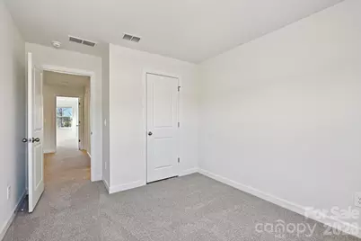 254 Tiger Lily Drive, Fort Mill, SC 29708 - Photo 13