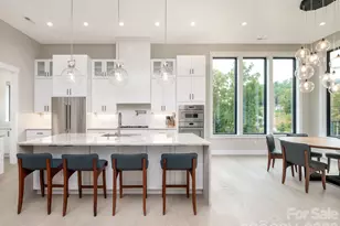 422 Ascension Vly, Horse Shoe, NC 28742 - Photo 13