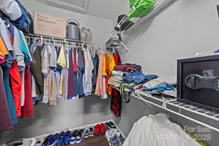 10026 Orchard Grass Ct, Charlotte, NC 28278 - Photo 19