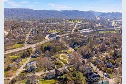 226 Flint Street, Asheville, NC 28801 - Photo 41