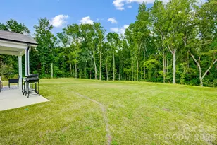 8615 Frank Grier Rd, Charlotte, NC 28215 - Photo 47