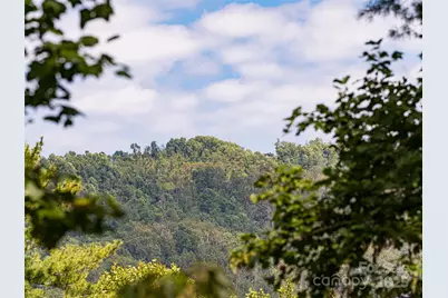 1302 Timber Trail, Asheville, NC 28804 - Photo 33
