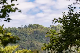1302 Timber Trail, Asheville, NC 28804 - Photo 33