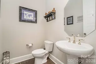 208 Pumpkin Seed Ct, Matthews, NC 28104 - Photo 35