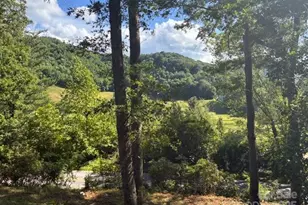 28 Wake St, Waynesville, NC 28786 - Photo 13