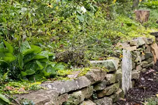 53 Cedar Hill Dr, Asheville, NC 28803 - Photo 31