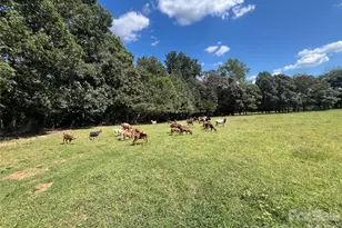 1301 Double Springs Church Rd, Shelby, NC 28150 - Photo 21