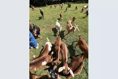 1301 Double Springs Church Road, Shelby, NC 28150 - Photo 39