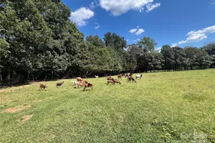 1301 Double Springs Church Rd, Shelby, NC 28150 - Photo 21