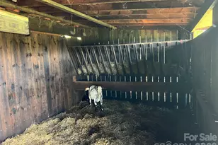 1301 Double Springs Church Rd, Shelby, NC 28150 - Photo 13