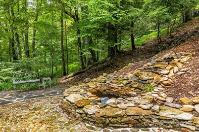 215 Goldenleaf Road, Mars Hill, NC 28754 - Photo 5