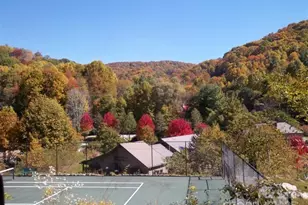 215 Goldenleaf Rd, Mars Hill, NC 28754 - Photo 47