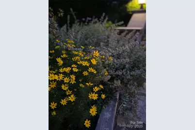 5 Busbee Road, Asheville, NC 28803 - Photo 47