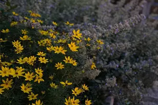 5 Busbee Rd, Asheville, NC 28803 - Photo 47