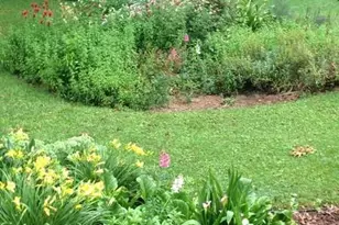 21 Lynwood Rd, Asheville, NC 28804 - Photo 43