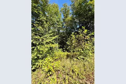 6929 Timber Rock Drive, Lenoir, NC 28645 - Photo 7