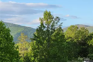 15 Madelyn Ln, Fairview, NC 28730 - Photo 47