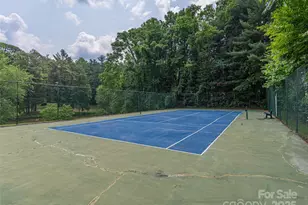 1150 W Blue Ridge Rd, Flat Rock, NC 28731 - Photo 17