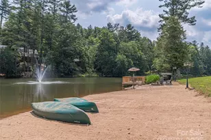 1150 W Blue Ridge Rd, Flat Rock, NC 28731 - Photo 21