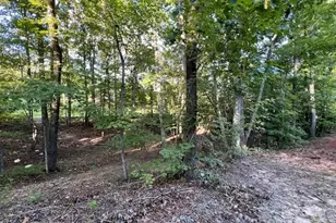 153 Autumn Song Dr, Nebo, NC 28761 - Photo 21