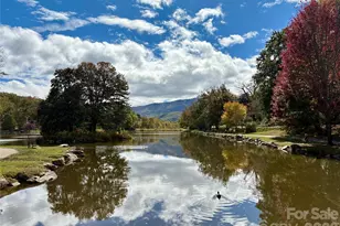 102 Kerlee St, Black Mountain, NC 28711 - Photo 27