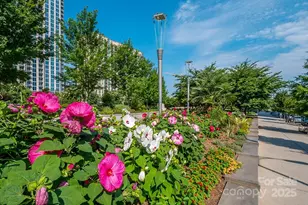 525 E 6th St, Charlotte, NC 28202 - Photo 27