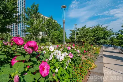 525 E Sixth Street #407, Charlotte, NC 28202 - Photo 27