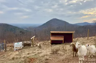 1627 Mt Hebron Church Ct, Taylorsville, NC 28681 - Photo 7