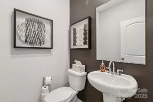 14109 Alley Mae None, Huntersville, NC 28078 - Photo 11