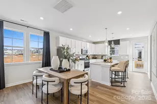 14109 Alley Mae None, Huntersville, NC 28078 - Photo 7