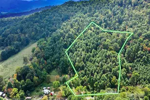 1595 Coxes Creek Rd, Burnsville, NC 28714 - Photo 1