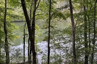 106 Lake Terrace Dr, Nebo, NC 28761 - Photo 9