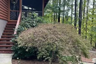 106 Lake Terrace Dr, Nebo, NC 28761 - Photo 41