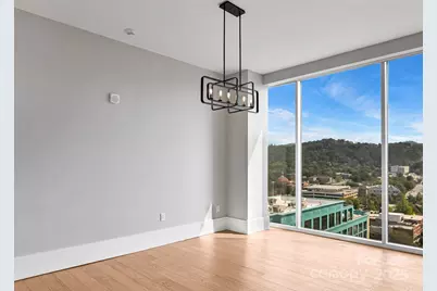 7 Patton Avenue #1104, Asheville, NC 28801 - Photo 9