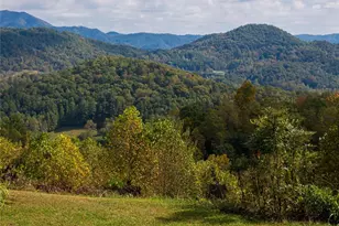 156 Jubilee Way, Waynesville, NC 28785 - Photo 33